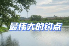 春季钓鱼技巧（享受春天的温暖）