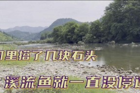 溪流野钓技巧大揭秘（掌握流水之道）