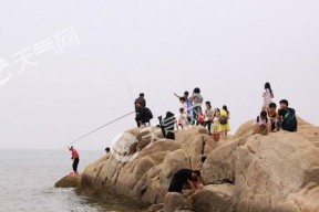 立冬后的野钓技巧与方法（钓鱼达人教你如何在寒冷季节提高钓鱼成功率）