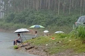 夏日钓鱼攻略（应对炎热天气的有效技巧）