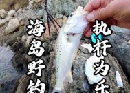 水库钓鱼技巧——以串钩为主（提高钓鱼效果的关键技巧与注意事项）