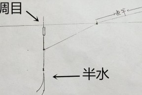 深水调漂钓鱼技巧（探秘水深10米下的调漂钓鱼诀窍）