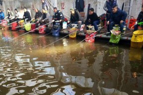 冬季室内大棚钓鱼技巧（钓鱼达人分享的冬季室内大棚钓鱼经验）