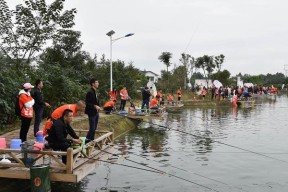 午后钓鱼技巧与方法（掌握技巧享受放松）