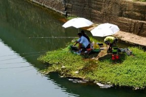 广东夏季野河钓鱼技巧与方法（享受夏日乐趣）