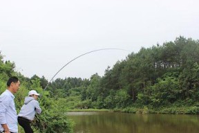 初冬黑坑钓鱼技巧有哪些？如何应对初冬钓鱼的常见问题？