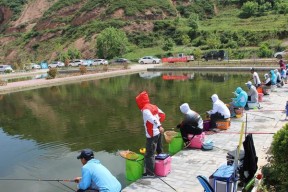 寒露过后黑坑钓鱼技巧（探秘成功黑坑钓鱼技巧）