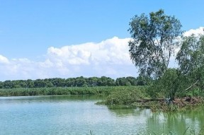 夏季大伏天钓鱼技巧（钓鱼技巧，让您在大伏天享受丰收）