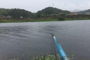 高温天气钓鱼技巧（应对高温天气）