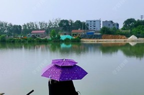 雷雨天气下的钓鱼技巧（掌握正确的技巧）