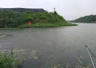 冬天下雨天钓鱼的三大技巧（让你轻松应对寒冷雨天钓鱼的技巧）