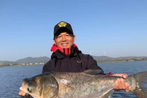 夏天野钓观察技巧（揭秘夏季钓鱼的窍门）