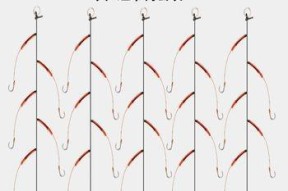 掌握仿生饵串钩垂钓技巧（提高垂钓成功率的关键要素）
