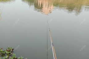 梅雨季节钓鱼技巧（掌握梅雨季节钓鱼的技巧）