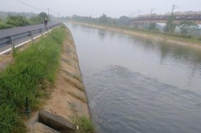 江河急流中的野钓技巧（探秘江河水流湍急的钓鱼乐趣）