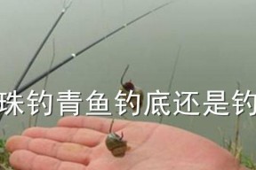 秋季钓鱼浮钓技巧（享受秋日湖畔乐趣）