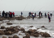 水流急海竿钓鱼技巧（掌握巧妙技巧）