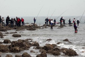 水流急海竿钓鱼技巧（掌握巧妙技巧）