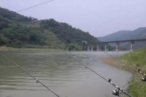 夏季钓鱼技巧经验分享（畅享夏日）