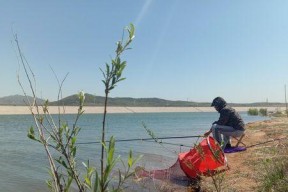 夏天水塘钓鱼技巧（如何选择理想的钓位）