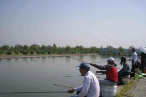 夏日钓鱼乐趣尽在厦门海沧海边（探寻厦门海沧海边钓鱼技巧）