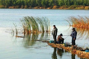 东方红水库钓鱼技巧（掌握东方红水库钓鱼技巧，捕获丰富渔获）