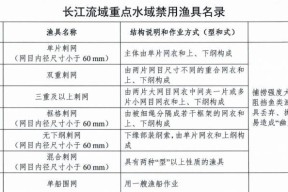 武汉长江手杆钓鱼技巧（掌握长江手杆钓鱼的精髓）