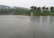 五月下雨钓鱼技巧（雨天钓鱼的利与弊）