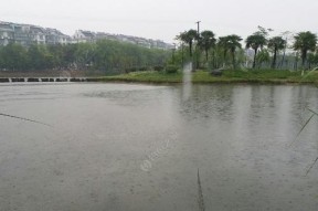 五月下雨钓鱼技巧（雨天钓鱼的利与弊）