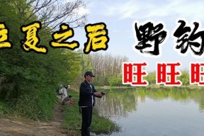 冬日钓鱼的技巧与口诀（寒冬中捕鱼的窍门与经验分享）