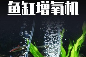 水库钓鱼小水泵技巧（提升钓鱼效果的关键——小水泵的使用技巧）