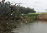 雨天钓鱼的四个技巧（享受雨中垂钓乐趣）