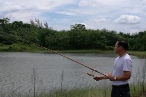 水中蝌蚪钓鱼技巧（掌握正确方法）