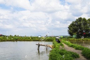 户外鱼池钓鱼小技巧（掌握这些技巧）