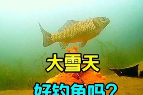 水涨水浑钓鱼技巧（钓鱼高手分享水涨水浑的成功经验）