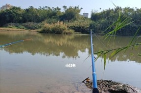 夏季河道钓鱼技巧（享受河道夏日钓鱼乐趣的秘诀）