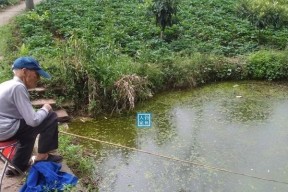 老府河钓鱼技巧（掌握的垂钓技巧）