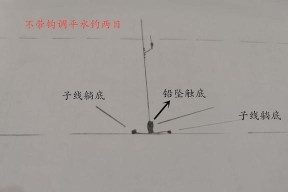 野钓技巧大揭秘（掌握带钩调漂）