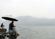 冰钓浅水野塘钓鲫鱼技巧（冬季钓鲫鱼的窍门和技巧）