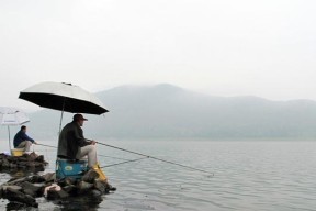 冰钓浅水野塘钓鲫鱼技巧（冬季钓鲫鱼的窍门和技巧）