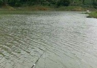 雨水后小水库钓鱼技巧（雨水时机）