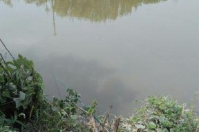 雨后浑水大河钓鱼技巧（探寻浑水中的丰鱼）