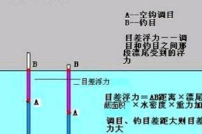 垂钓技巧（掌握调鱼漂的关键技巧，提升垂钓成功率）