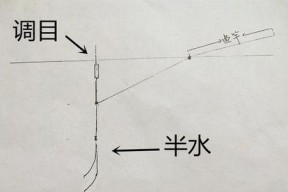 探秘钓鱼看漂调漂技巧（提高钓鱼技术，轻松捕获丰收）