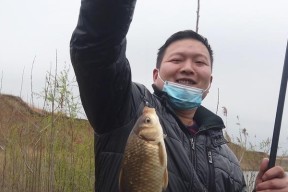 雨后钓鱼技巧与方法（充足准备是关键）