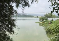 雨季河流钓鱼野钓技巧（探索丰富雨季河流的钓鱼技巧）