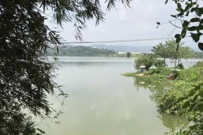 雨季河流钓鱼野钓技巧（探索丰富雨季河流的钓鱼技巧）