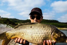 夏季钓鱼技巧揭秘（夏季钓鱼的必备技巧）