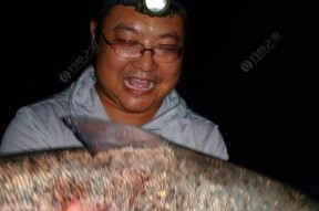 水库夜钓打窝技巧教学（掌握夜钓打窝技巧）