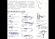 钓鱼入门技巧（初学者必知的钓鱼技巧）